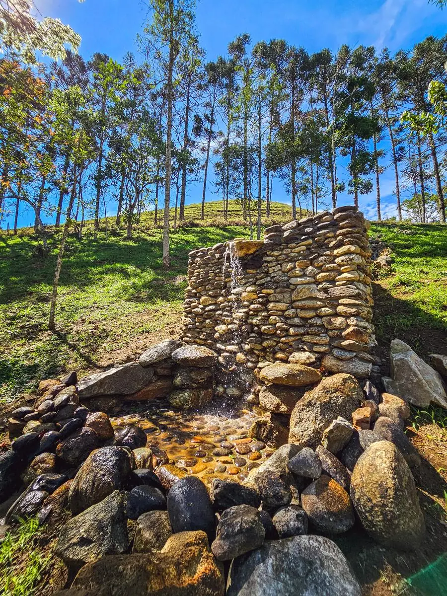 A queda d'água no muro de pedra, sob as araucárias